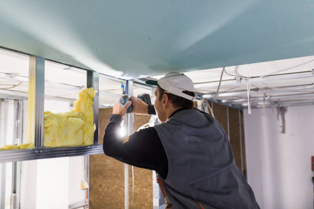 Best Soundproof Insulation  in Blue Mound, IL